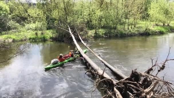 Białoruś. Mińsk. 05.2020. Mężczyźni niosą kajaki przez rzekę zregenerowani przez drzewo — Wideo stockowe