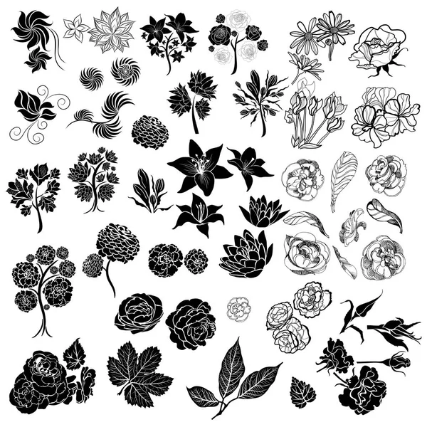 Conjunto de elementos de diseño floral vectorial — Archivo Imágenes Vectoriales