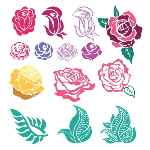 Conjunto Vectorial Plantas Naturales Elementos Diseño Flores Rosa Flor Stock — Archivo Imágenes Vectoriales