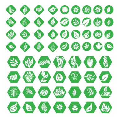 Vektör bitkisi ve çiçek grafiği