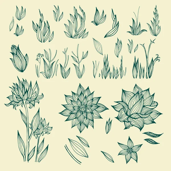 Conjunto Gráfico Plantas Flores Vectoriales — Archivo Imágenes Vectoriales