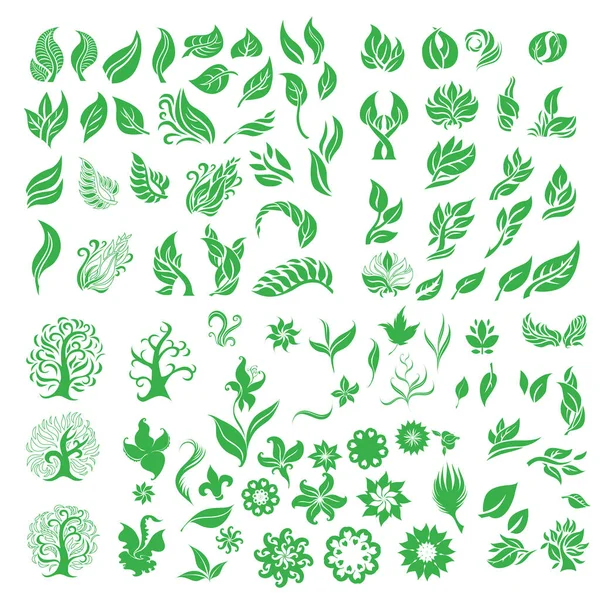 Ensemble Graphique Plantes Fleurs Vectorielles — Image vectorielle