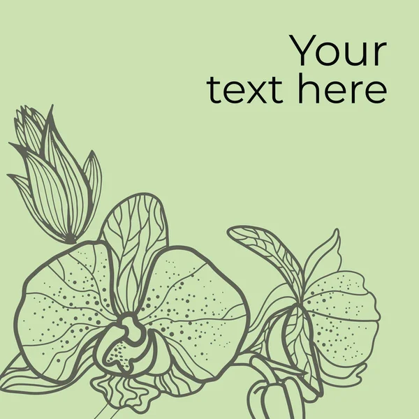 Vector Floral Background Flower Leafs Illustrations — ストックベクタ