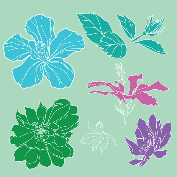 Vektorset Aus Natürlichen Pflanzen Und Blumen Design Elemente Illustration Tropischer — Stockvektor