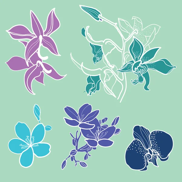Wektorowy Zestaw Naturalnych Roślin Elementów Projektowych Kwiatów Ilustracja Tropikalnych Kwiatów — Wektor stockowy