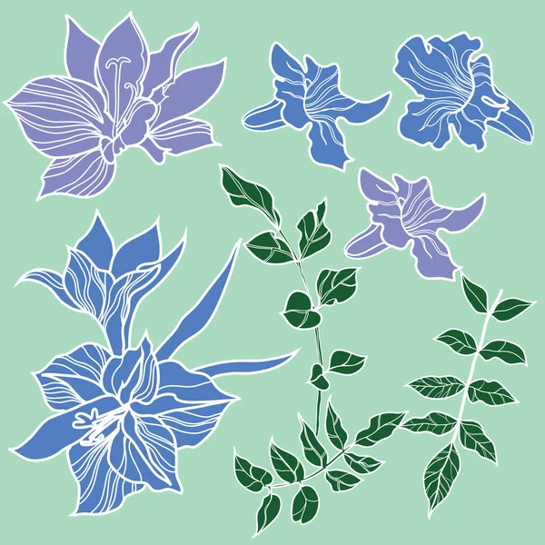 Vector Set Van Natuurlijke Planten Bloemen Design Elementen Tropische Bloem — Stockvector