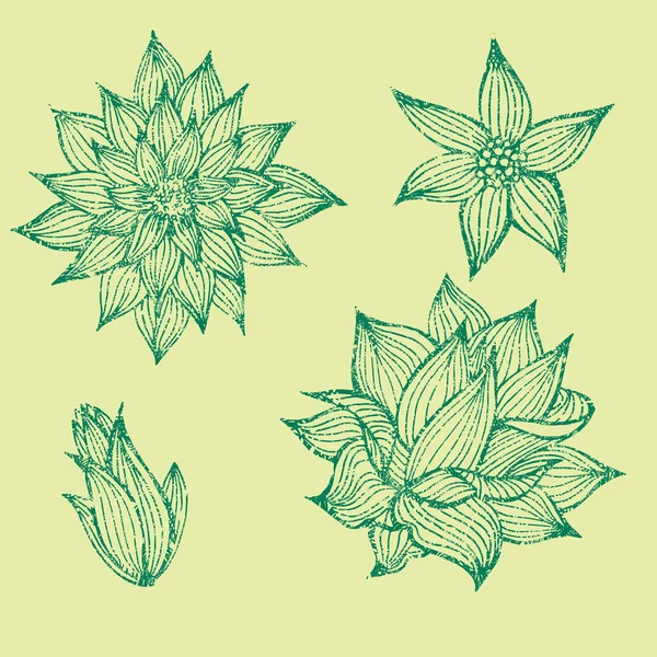 Vector Set Van Natuurlijke Planten Bloemen Design Elementen Illustratie Van — Stockvector