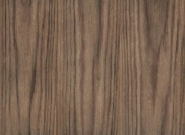 Tölgy fa texture — Stock Fotó