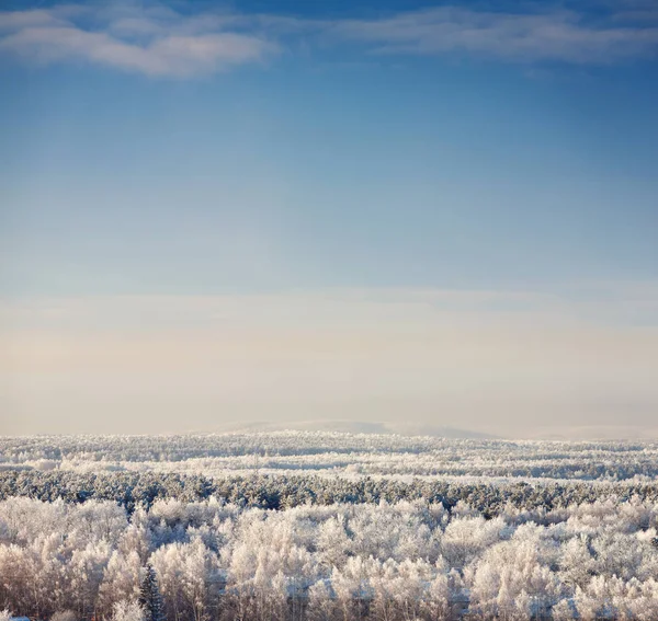 푸른 하늘 겨울 풍경 — 스톡 사진