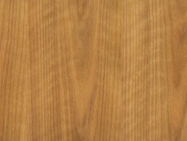 Oak wood texture — Stock Photo, Image