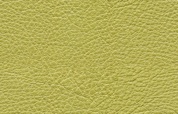 Textura de cuero verde sin costuras — Foto de Stock