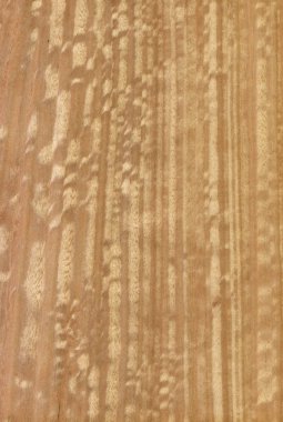 Doğal ahşap doku arka planı. Okaliptüs ağacı.