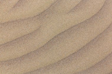 plaj üzerinde çekim kum doku