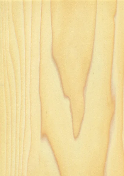Фон Натуральной Деревянной Текстуры Тополь — стоковое фото