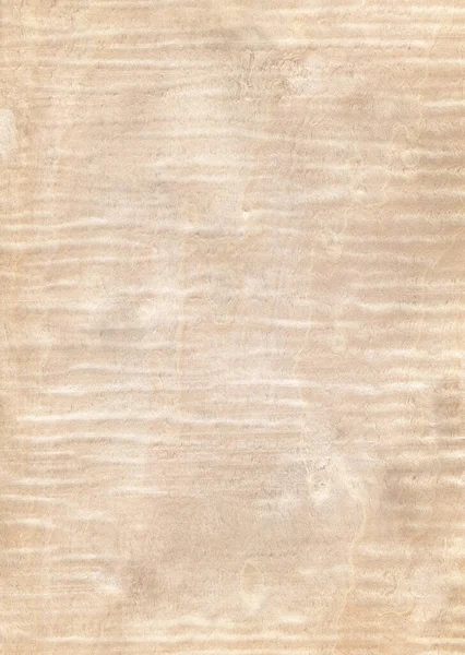 Fondo Textura Madera Natural Madera Arce — Foto de Stock