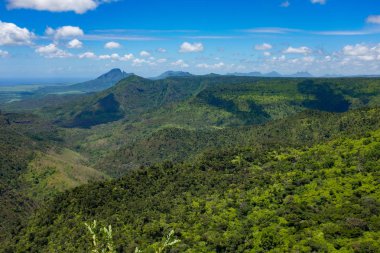 Mauritius üzerinde orman cennet 