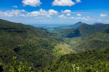Mauritius üzerinde orman cennet 