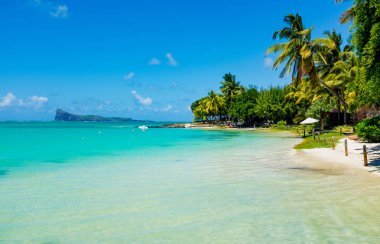 Mauritius Adası'nın muhteşem beyaz sahilleri. 