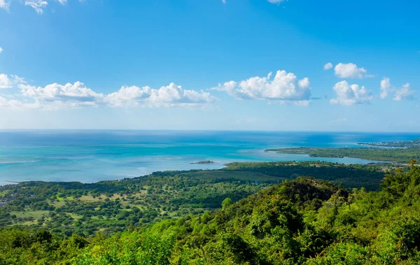 Джунглях рай з Маврикія — стокове фото
