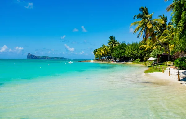 Mauritius Adası'nın muhteşem beyaz sahilleri. 