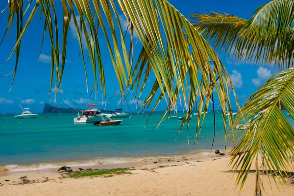 Prachtige witte stranden van Mauritius eiland — Stockfoto