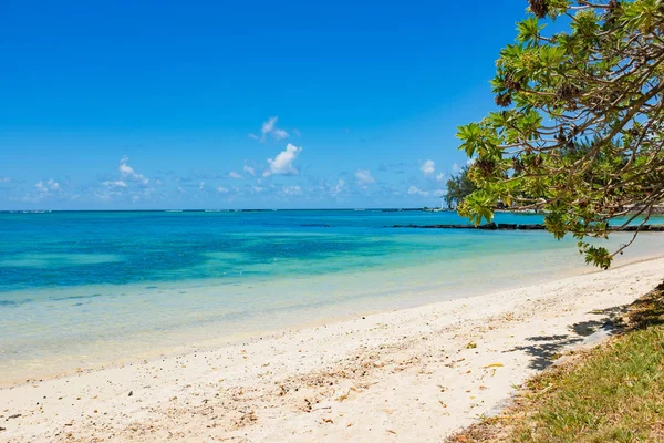 Tropical beach with coconut palms — Stock Photo, Image