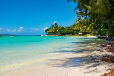 Mauritius Adası'nın muhteşem beyaz sahilleri