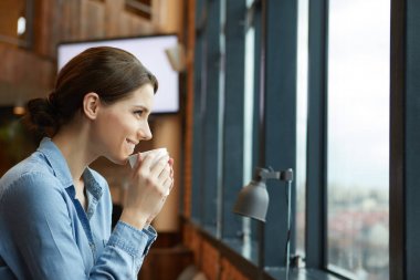 güzel esmer dizüstü kullanarak 