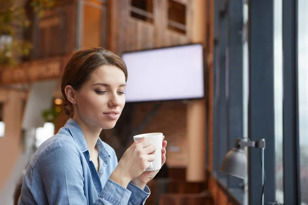 Vakker Brunette Bruk av Laptop – stockfoto