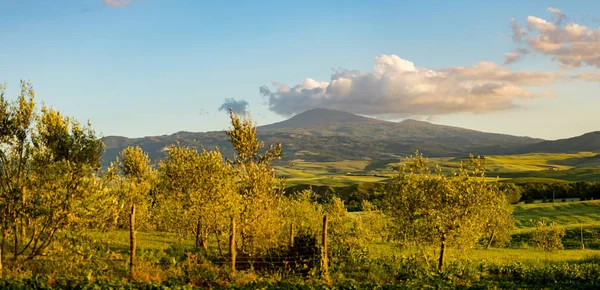 Hermoso y milagroso panorama de primavera — Foto de Stock