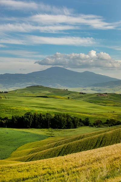 Tuscany landskap, Italien — Stockfoto