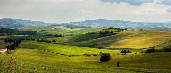 Прекрасная и чудесная весенняя панорама — стоковое фото