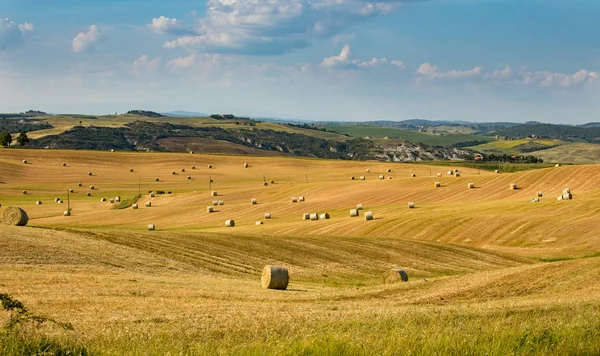 Paesaggio toscano, Italia — Foto Stock