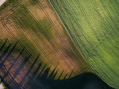 Yeşil bir alanın hava Üstten Görünüm. 