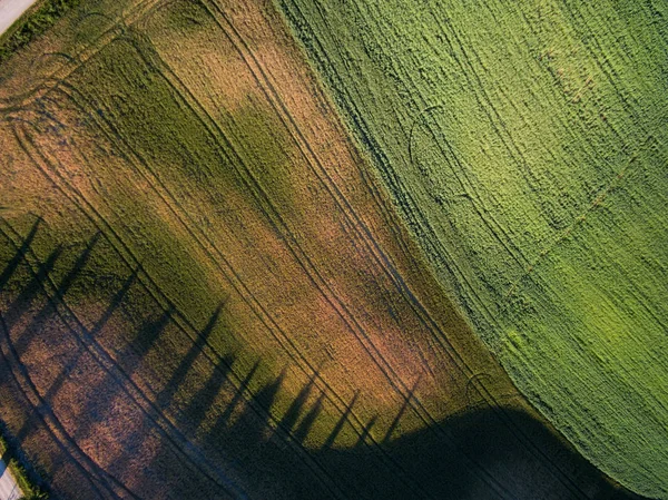 Αεροφωτογραφία πάνω του ένα πράσινο λιβάδι. — Φωτογραφία Αρχείου