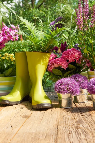 Gartengeräte und Blumen — Stockfoto