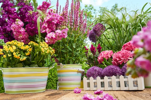 Herramientas de jardinería y flores — Foto de Stock