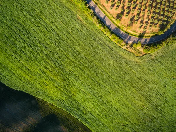 Vista aérea superior de un campo verde . — Foto de Stock