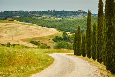 Günbatımı dolambaçlı yol üzerinde  