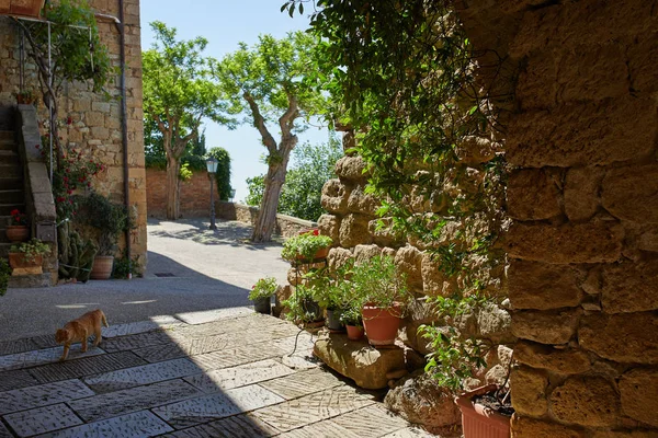 Gränd i gamla stan — Stockfoto