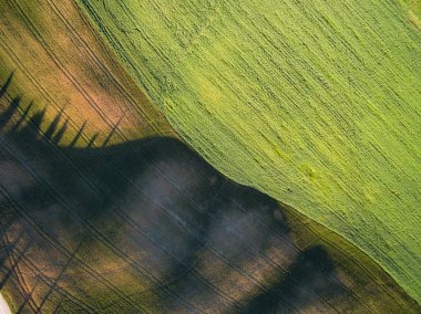 Yeşil bir alanın hava Üstten Görünüm.  