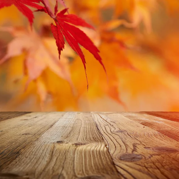 Hösten bakgrund, fall blad — Stockfoto