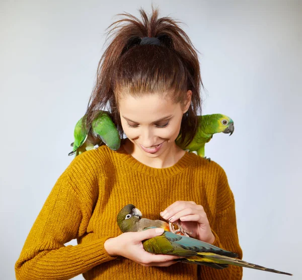 Cute parrots, sit on woman. — Stock Photo, Image