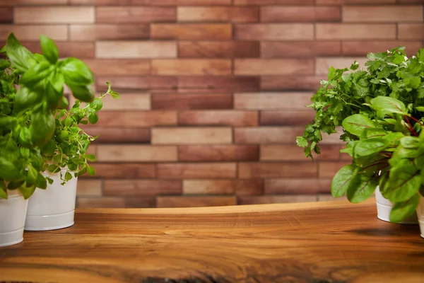 Fresco sfondo di legno verde organico — Foto Stock