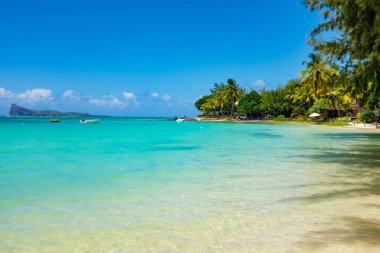 beyaz plaj Mauritius Adası