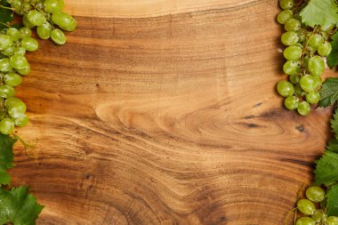 yeşil yaprakları ile olgun beyaz üzüm 