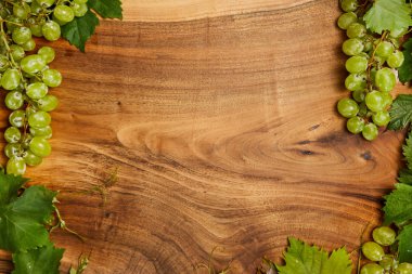 yeşil yaprakları ile olgun beyaz üzüm 