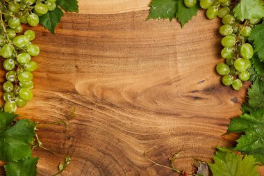 yeşil yaprakları ile olgun beyaz üzüm 