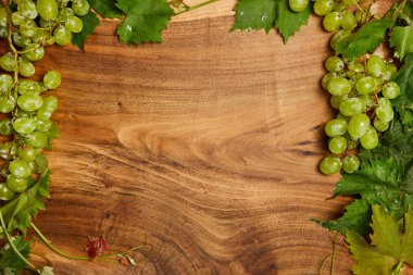 yeşil yaprakları ile olgun beyaz üzüm 