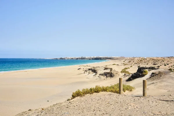 Typiska landskapet i Fuerteventura island — Stockfoto